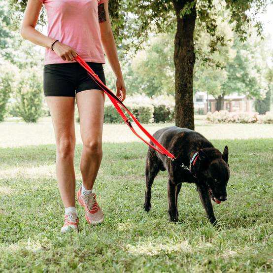 Ferplast - Ferplast laisse pour chien ERGOFLUO, Laisse de ressage pour chien de taille moyenne, Poignée rembourrée, Mousqueton en métal. Longueur réglable. - Imagen 5