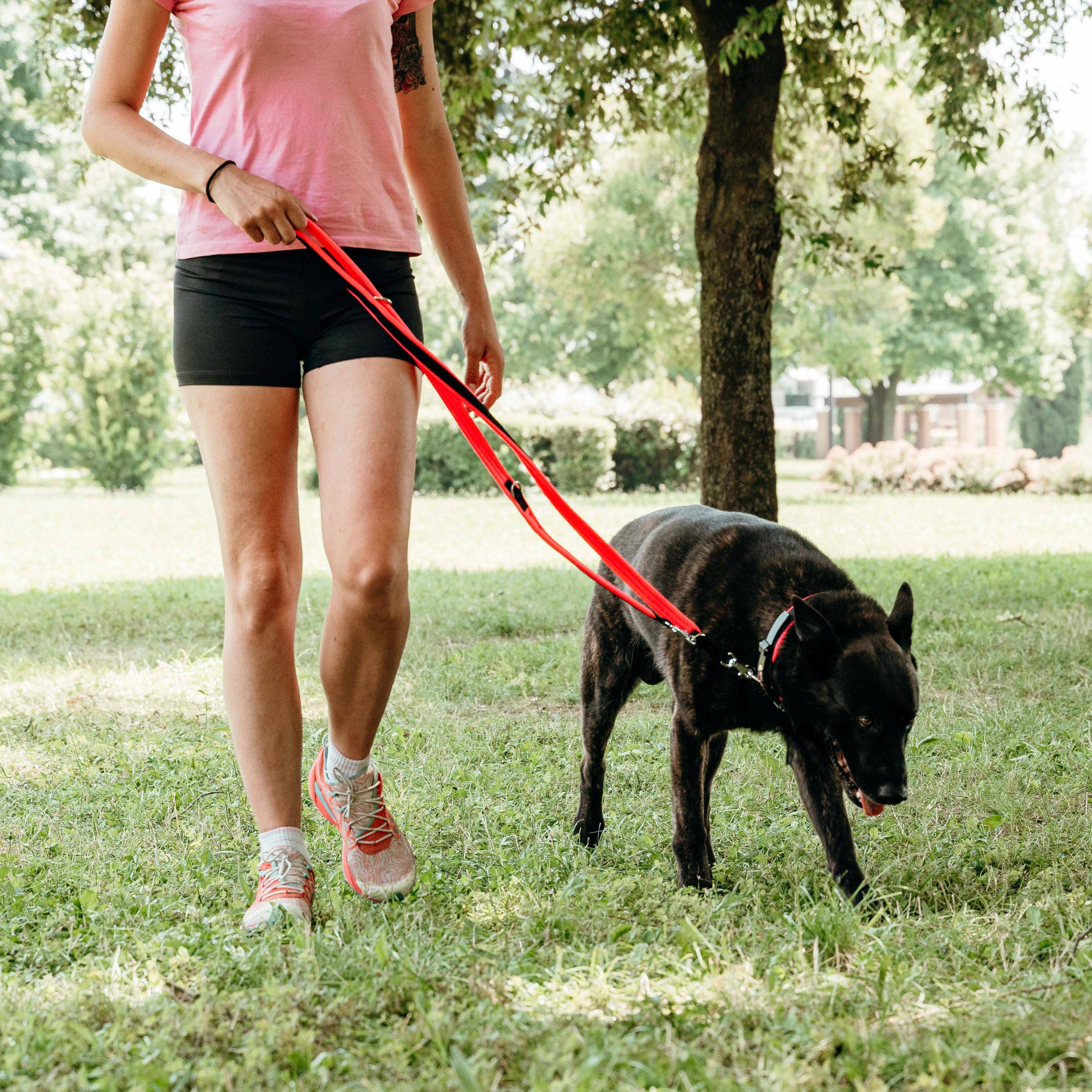 Ferplast - Ferplast laisse pour chien ERGOFLUO, Laisse de ressage pour chien de taille moyenne, Poignée rembourrée, Mousqueton en métal. Longueur réglable. - Imagen 5