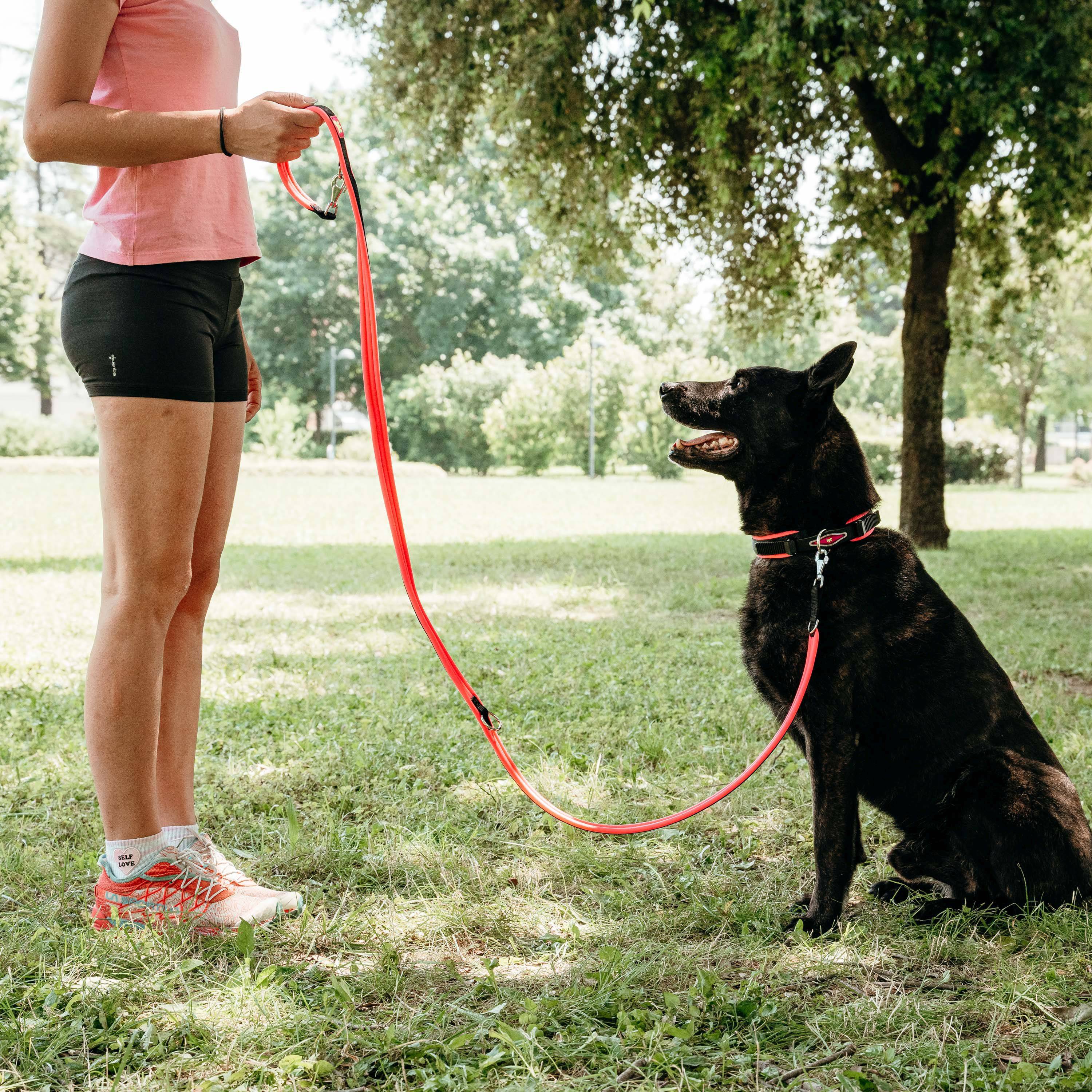 Ferplast - Ferplast laisse pour chien ERGOFLUO, Laisse de ressage pour chien de taille moyenne, Poignée rembourrée, Mousqueton en métal. Longueur réglable. - Imagen 4