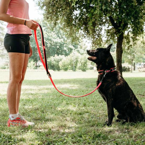 Ferplast - Ferplast laisse pour chien ERGOFLUO, Laisse de ressage pour chien de taille moyenne, Poignée rembourrée, Mousqueton en métal. Longueur réglable. - Imagen 3