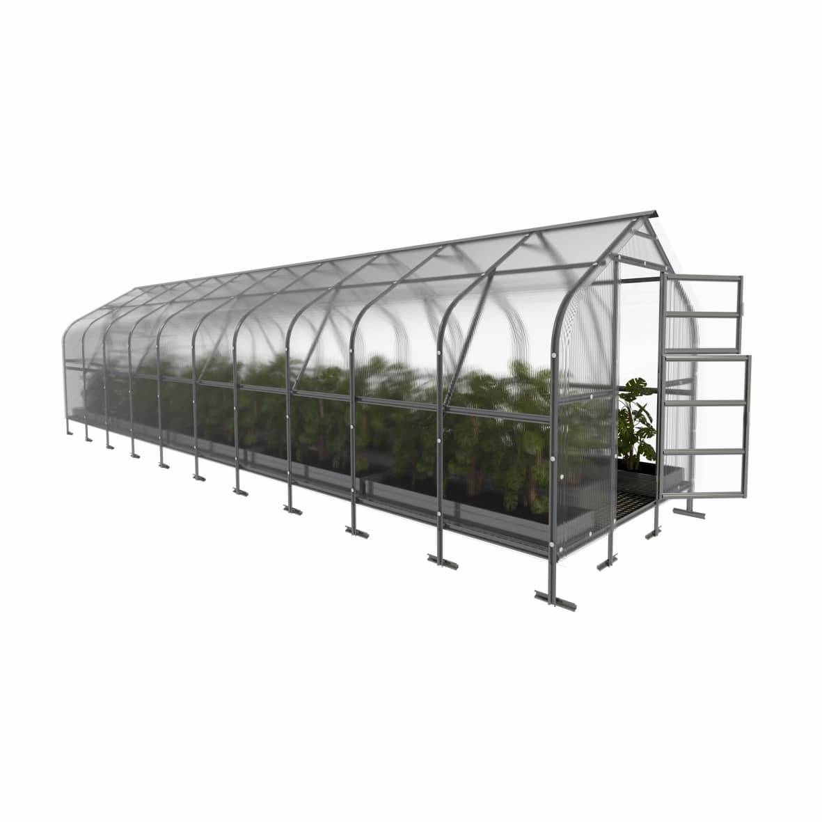 KLASIKA GREENHOUSES - Serre KLASIKA*DROP 25m2, 2,5m x 10m, 6 mm avec revêtement en polycarbonate - Image 5