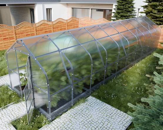 KLASIKA GREENHOUSES - Serre KLASIKA*DROP 25m2, 2,5m x 10m, 6 mm avec revêtement en polycarbonate - Image 2