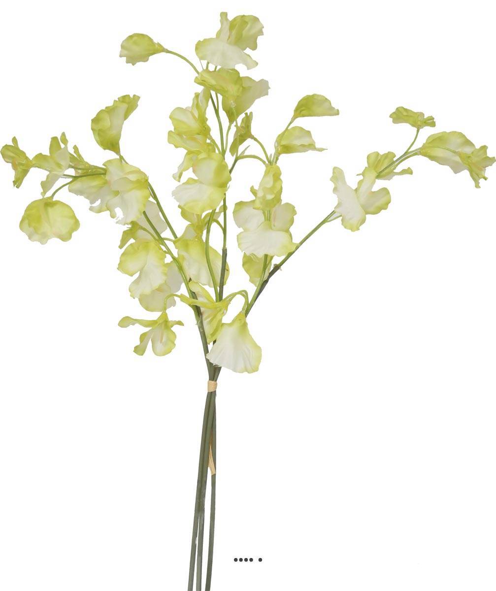 Artificielles - Pois de senteur fleur artificielle en 3 branches H 50 cm Crème vert - couleur: Crème vert - Imagen 1
