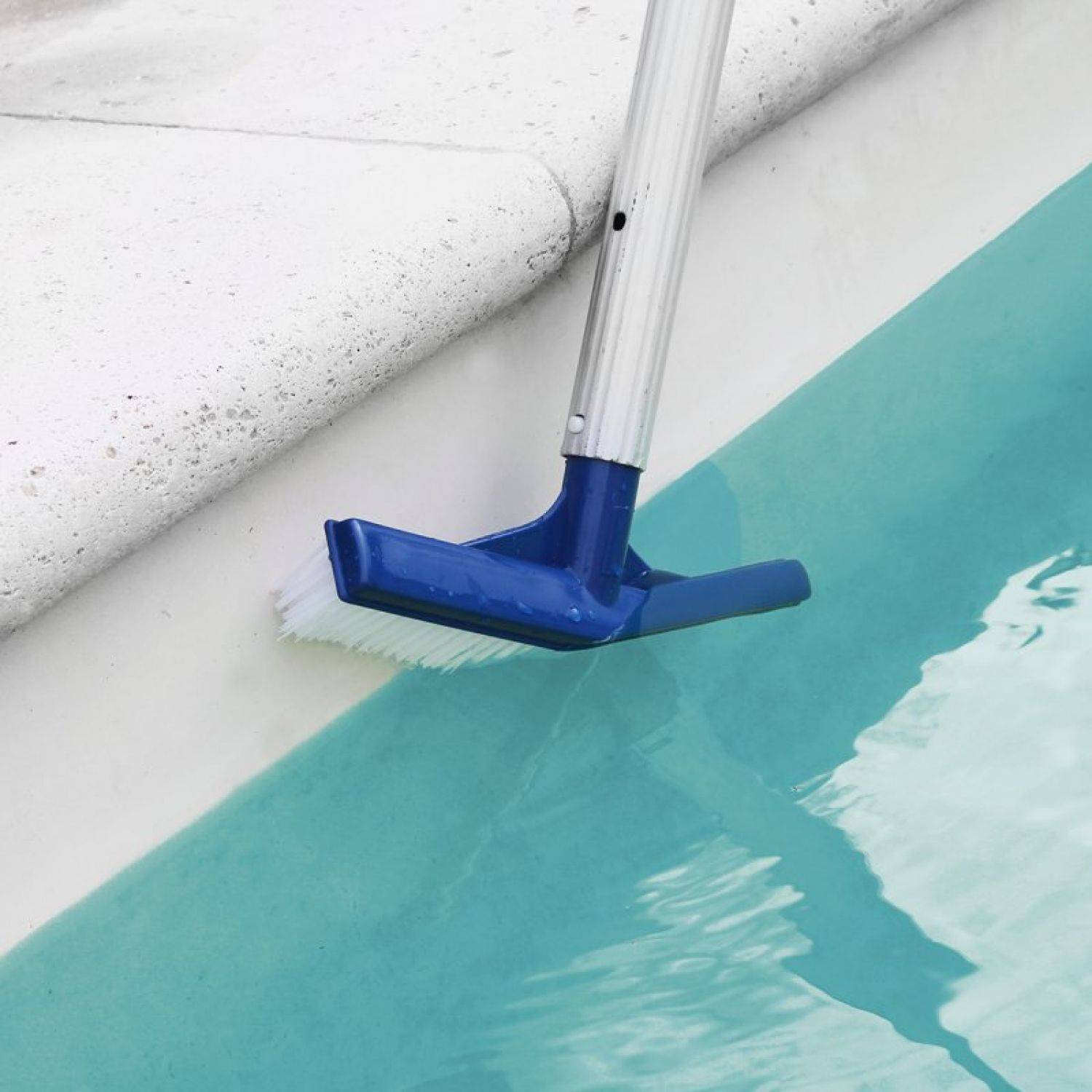 Linxor - Tête de brosse paroi 25 cm bleu pour piscine adaptable sur manche standard ou télescopique - Linxor - Imagen 3
