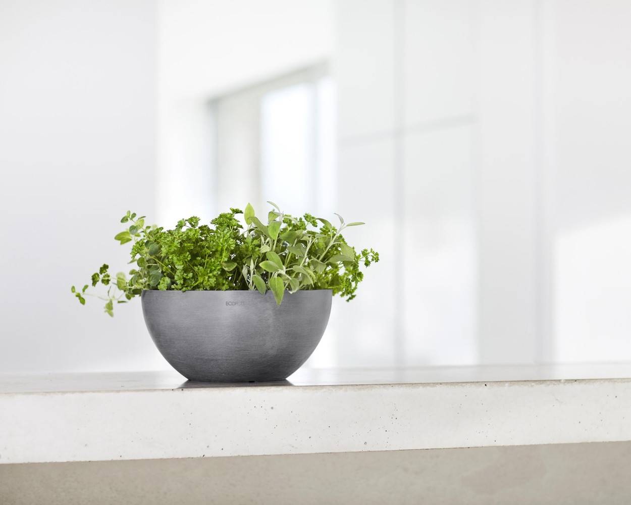 Ecopots - Pot Rond Brussels 25 Gris - Ø 25 x H. 12 cm - 3,6 L ECOPOTS - Imagen 5