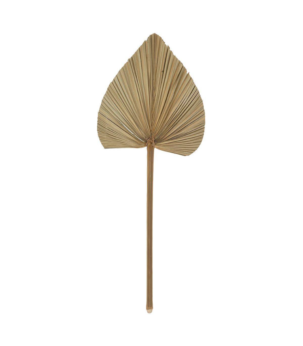 Atmosphera - Set de 3 Tiges de Palmier séchées H 70 cm - Imagen 2