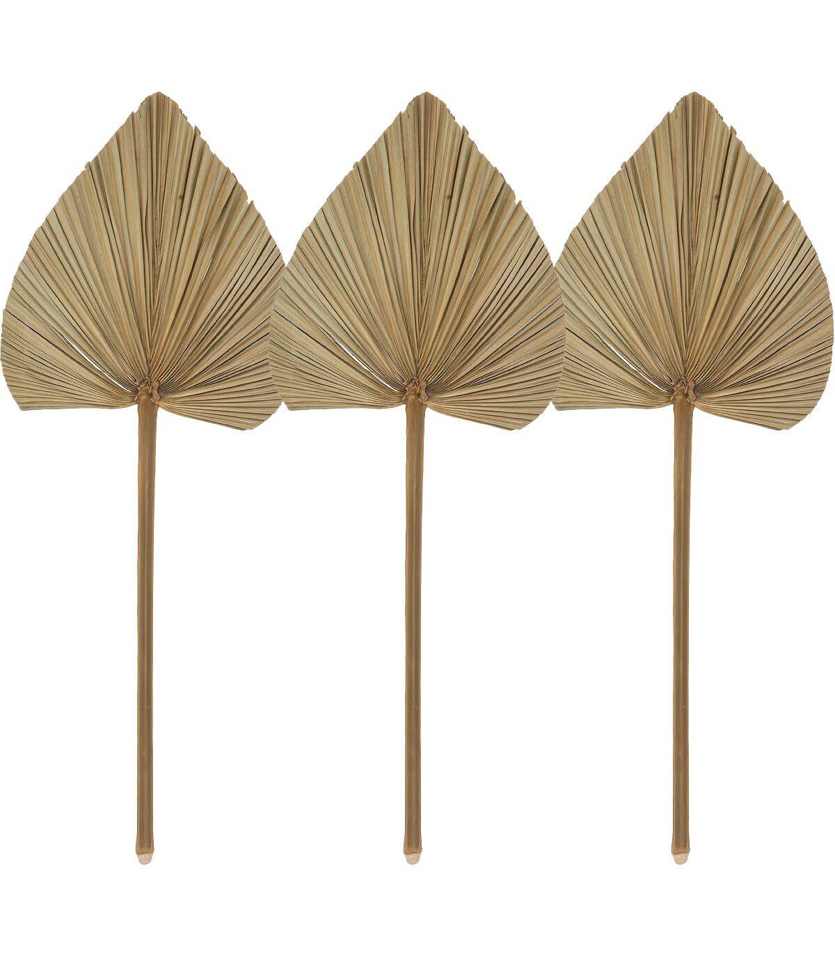 Atmosphera - Set de 3 Tiges de Palmier séchées H 70 cm - Imagen 1