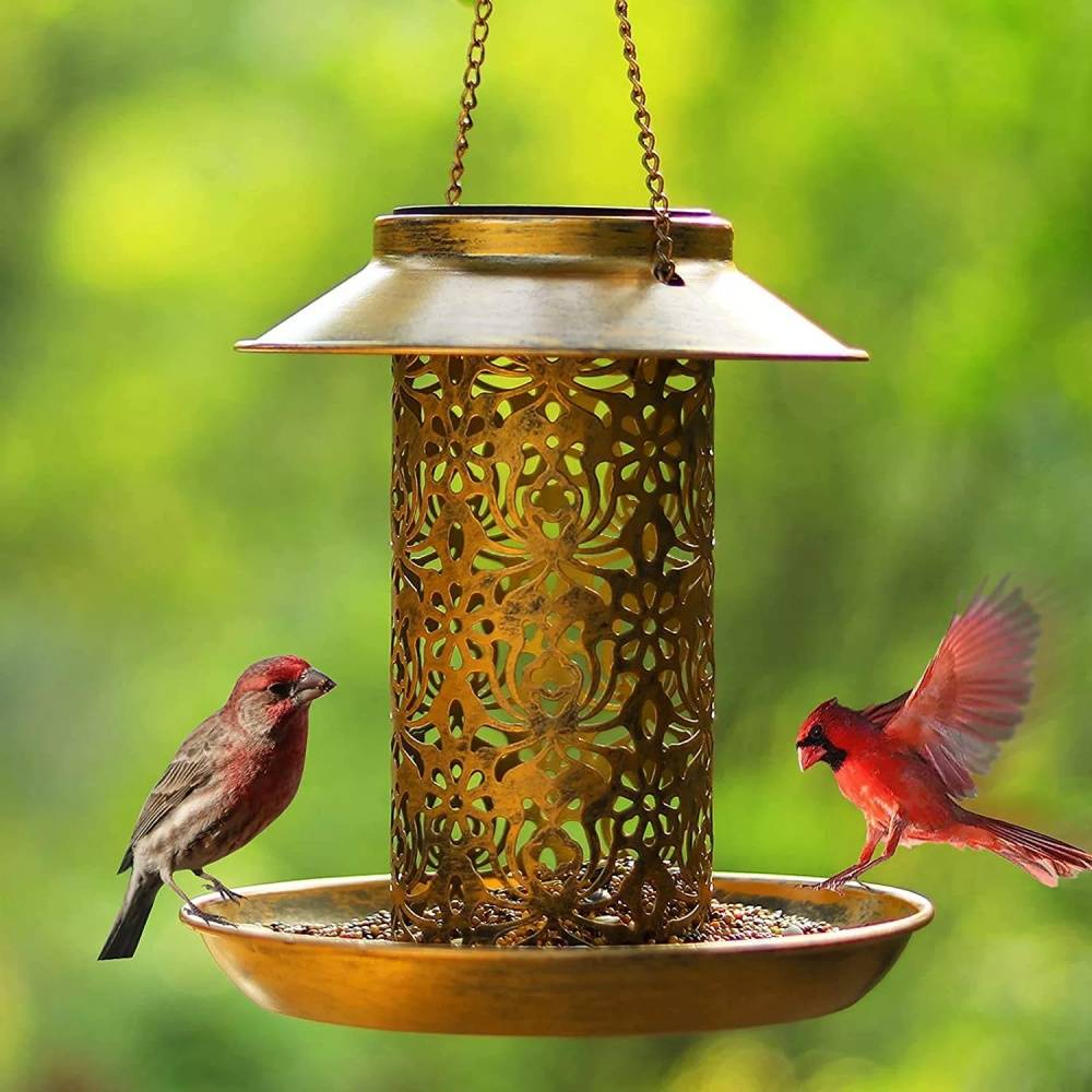 IntiMeg - Mangeoire solaire pour oiseaux IntiMeg - Image 2