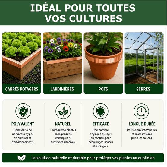 Tout pour les nuisibles - 20 Rubans de Cuivre Anti-Limaces et Escargots SOLU'LIMACES – Barrière Physique Adhésive pour Potager, Jardinières, Pots et Bacs de Culture -4mx3cm - Image 5