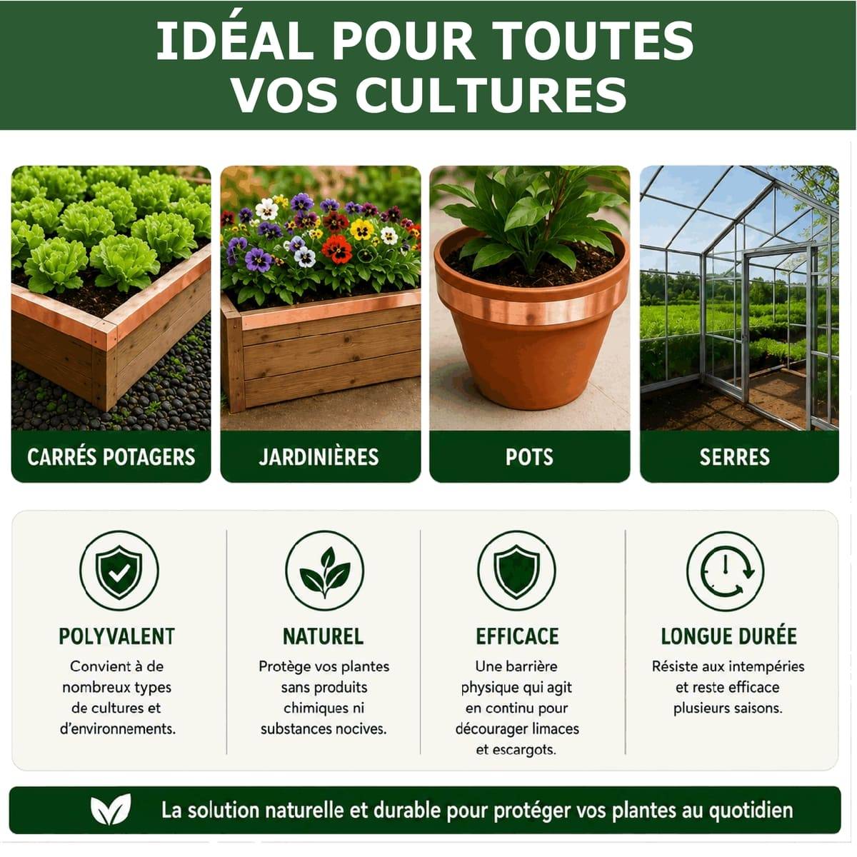 Tout pour les nuisibles - 20 Rubans de Cuivre Anti-Limaces et Escargots SOLU'LIMACES – Barrière Physique Adhésive pour Potager, Jardinières, Pots et Bacs de Culture -4mx3cm - Image 5