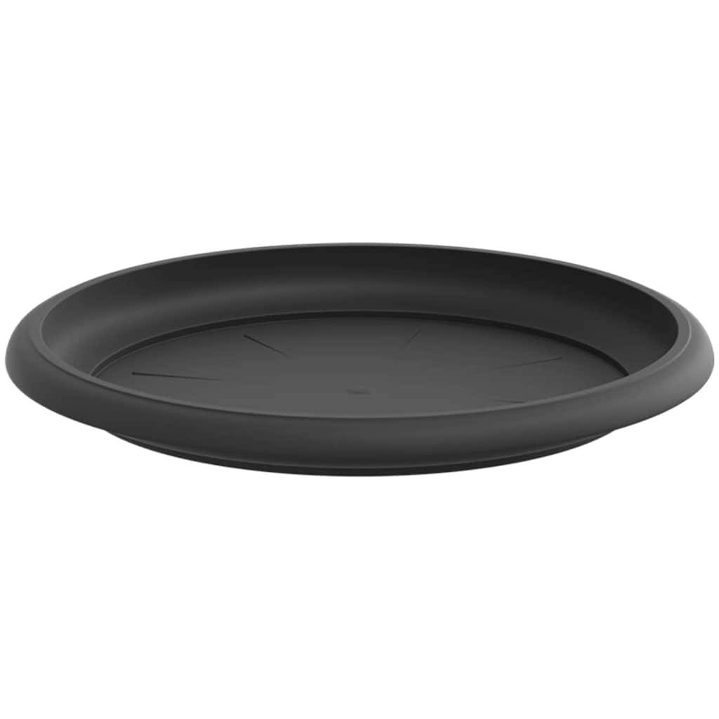 Plateau à fleurs rond Plastique Noir Ø 19 x 2 cm - PANGIVO - Image 5