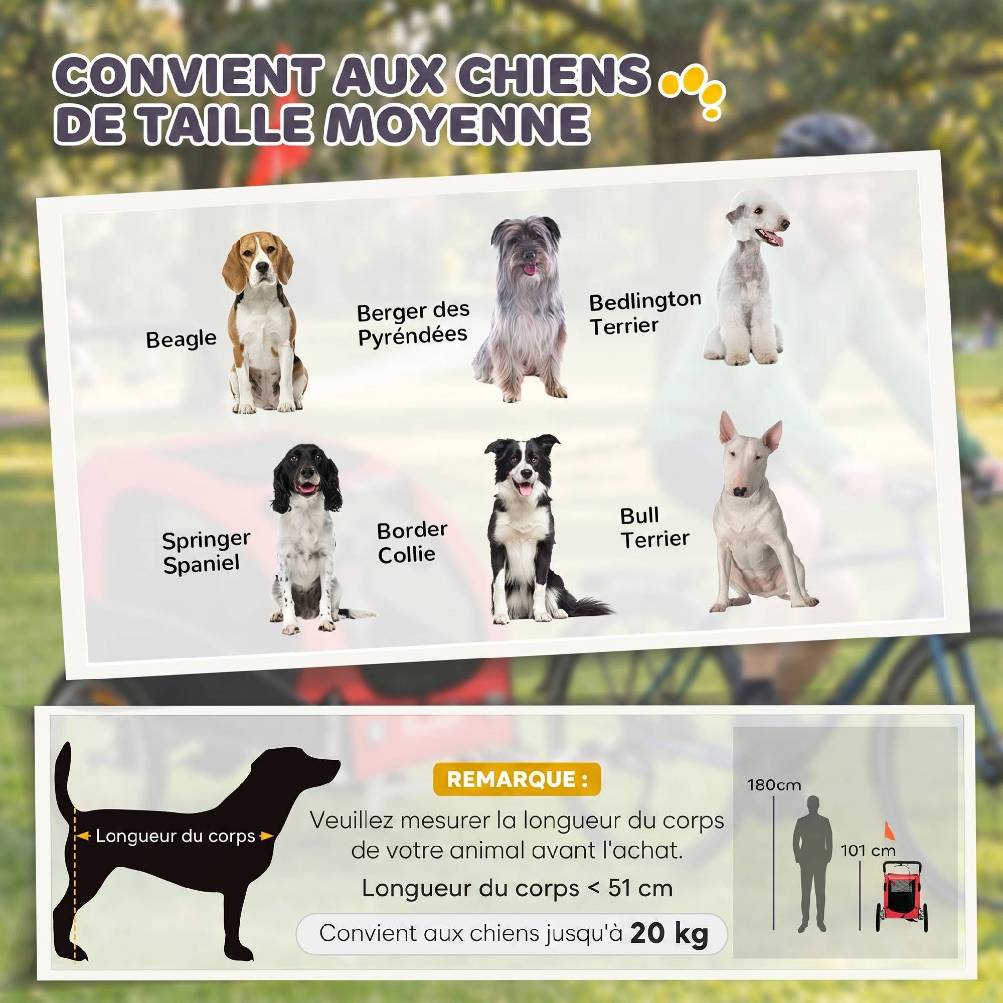 ComfortXL - Remorque vélo pour chien 2-en-1 en acier et tissu Oxford rouge 160 x 71 x 101 cm avec suspension et poussette - Image 5