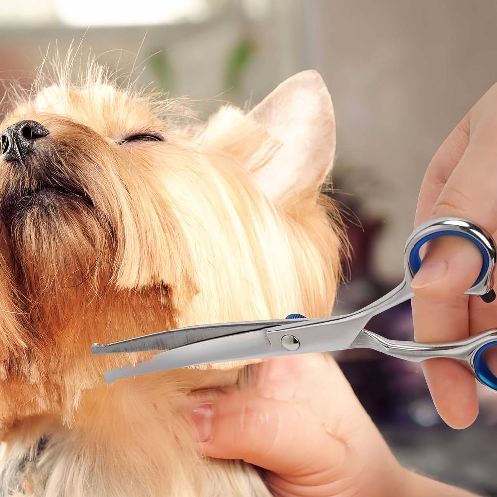IntiMeg - Ciseaux de toilettage pour chien et chat IntiMeg - Image 6