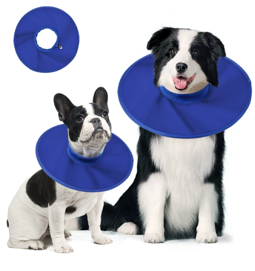 Collier Élisabéthain pour Chien/Chat - Anti-Léchage & Protection-IntiMeg - Image 1