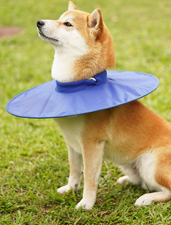 Collier Élisabéthain pour Chien/Chat - Anti-Léchage & Protection-IntiMeg - Image 2