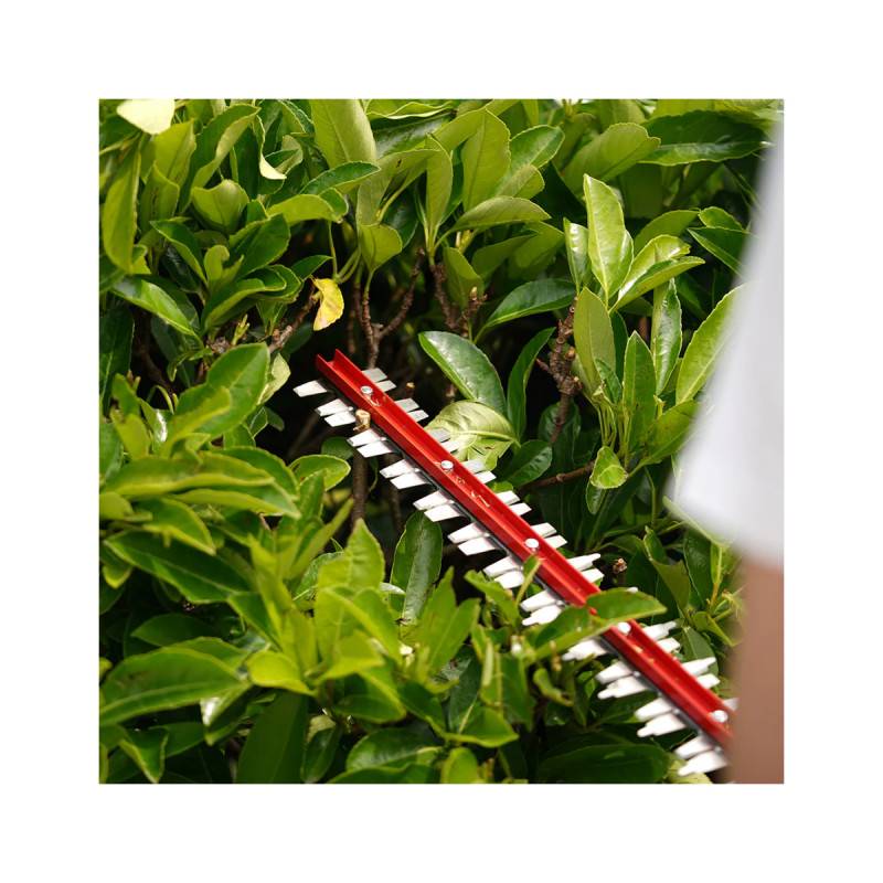 Greenworks - Taille-haies 61cm 40V GREENWORKS - Sans batterie ni chargeur - G40HT61 - Image 6