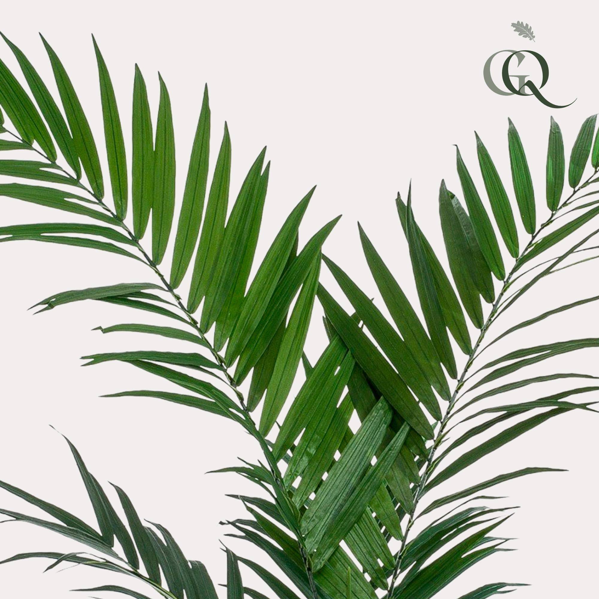 La Green Touch - Palmier Kentia plante artificielle- h150cm, Ø12cm- La Green Touch - Imagen 2