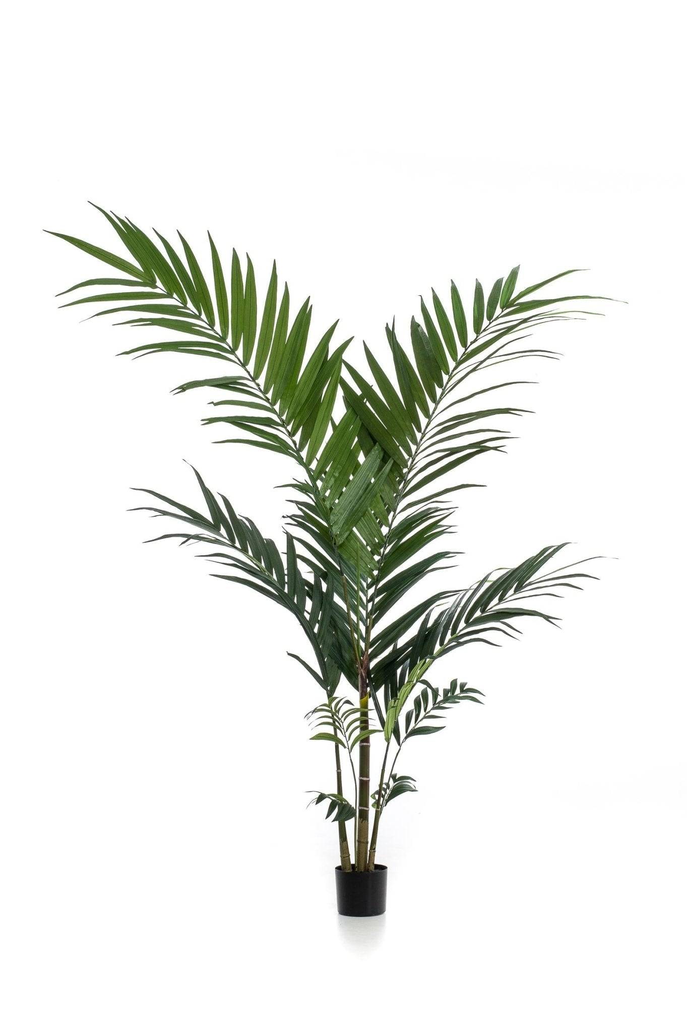La Green Touch - Palmier Kentia plante artificielle- h150cm, Ø12cm- La Green Touch - Imagen 4