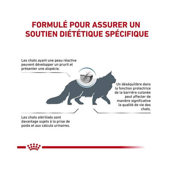 Royal Canin - Croquettes chat VETERINARY CAT SKIN COAT - Royal Canin 3,5 kg - Image 5