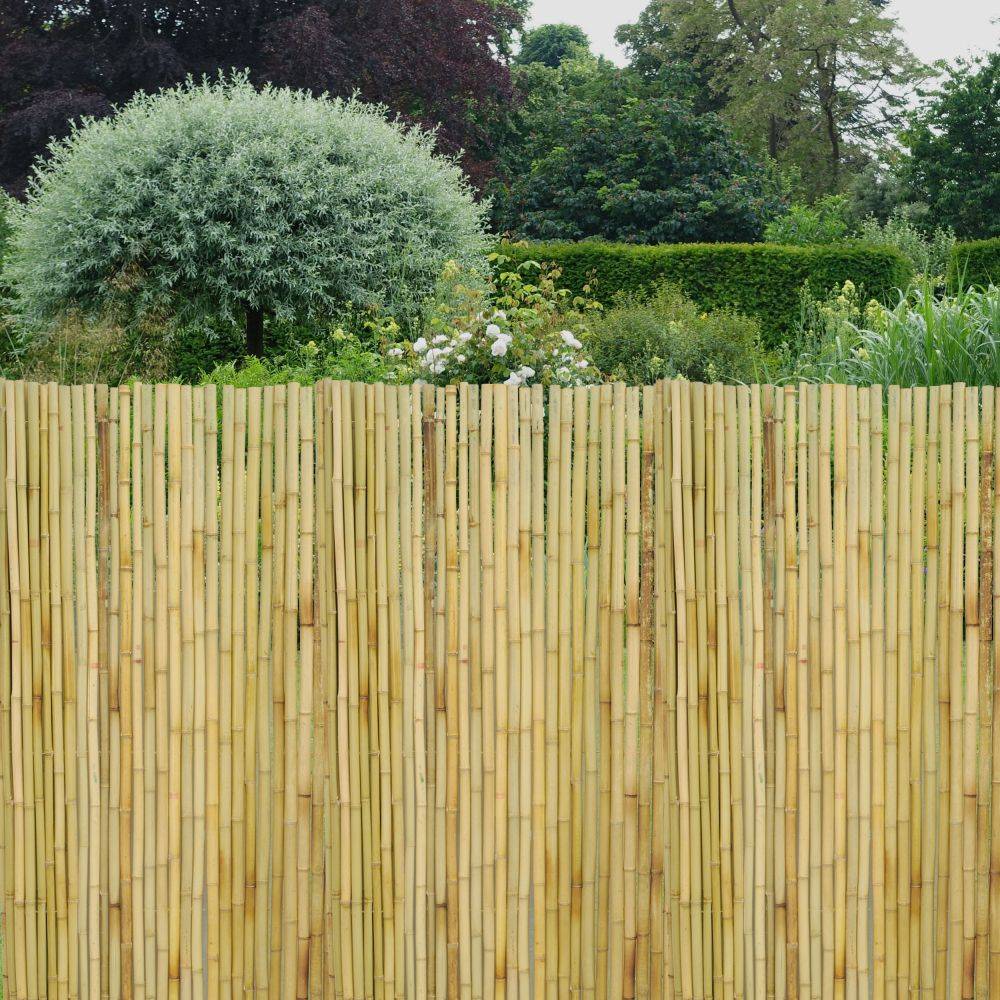 Jardindeco - Canisse en bambou Lot de 5 - Imagen 2