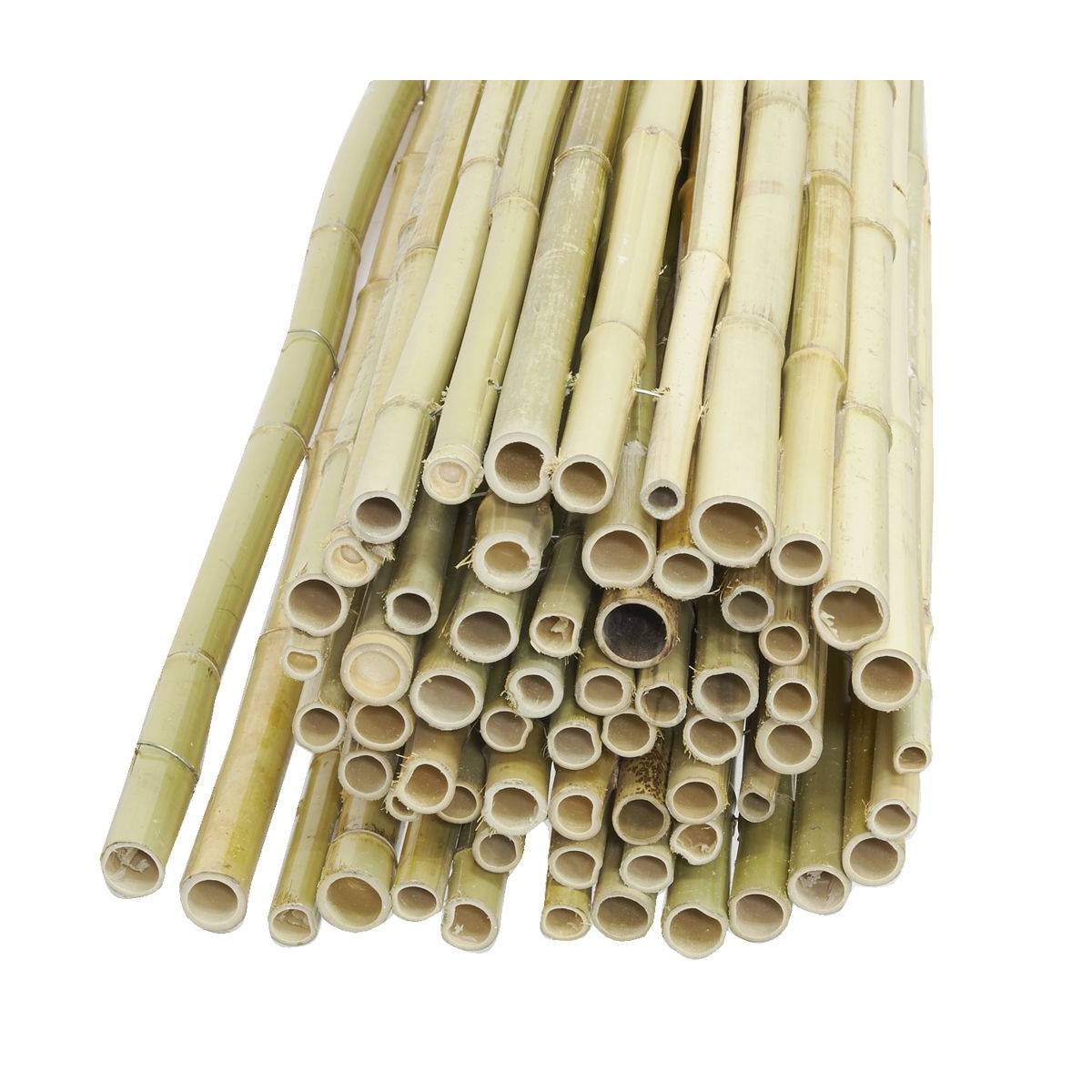 Jardindeco - Canisse en bambou Lot de 5 - Imagen 1