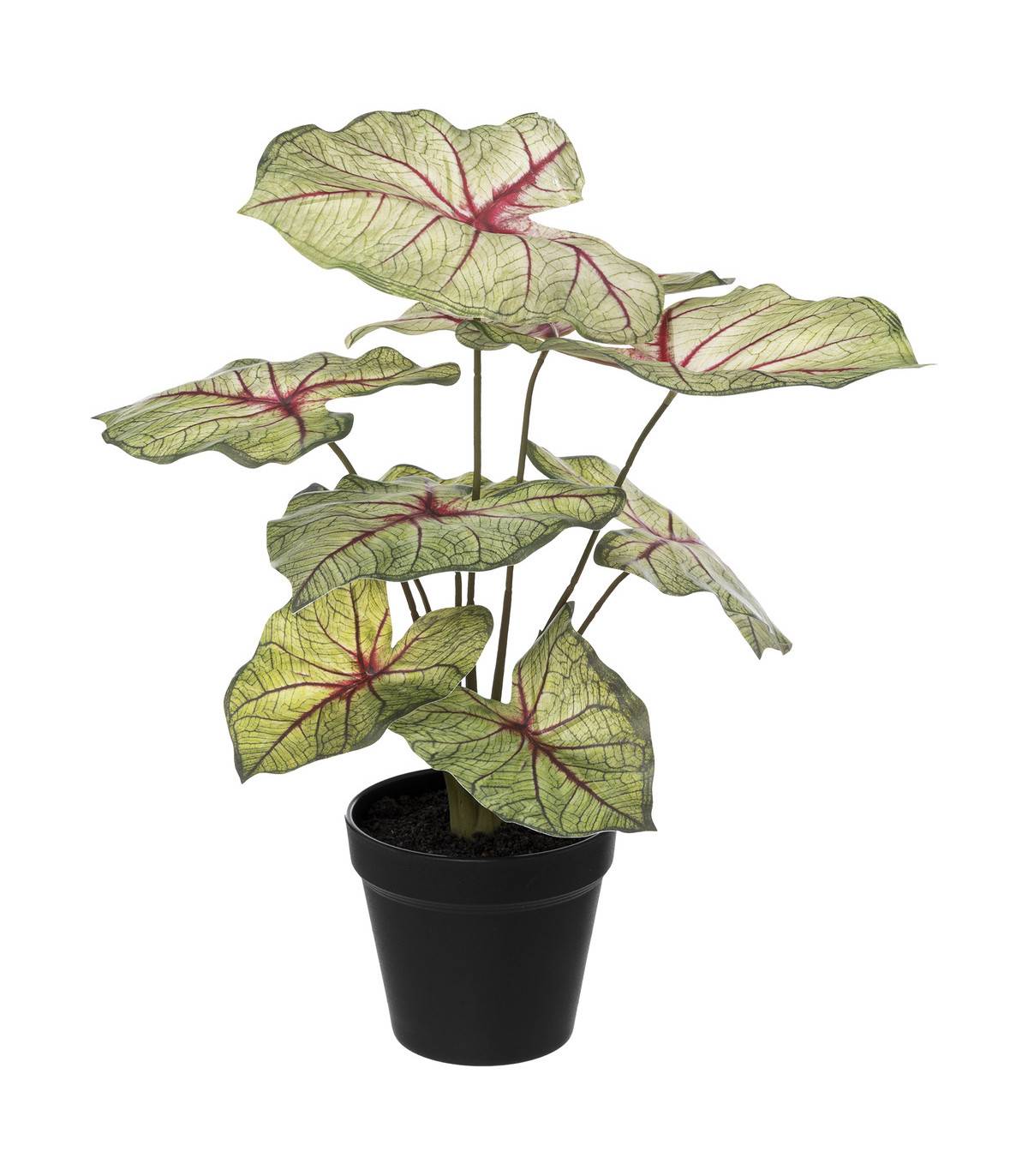 Plante artificielle Caladium en pot D. 34 x H. 41 cm - Imagen 1
