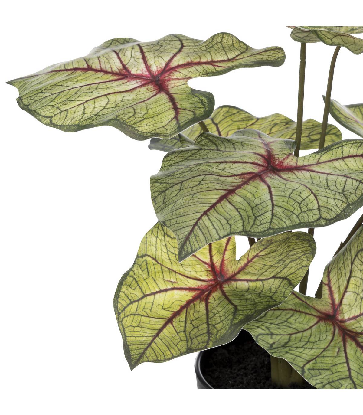 Plante artificielle Caladium en pot D. 34 x H. 41 cm - Imagen 2