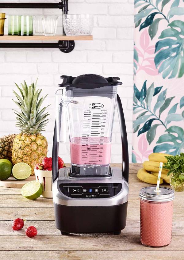 Blender Brushless Compact 66 Professionnel - Santos - Image 2