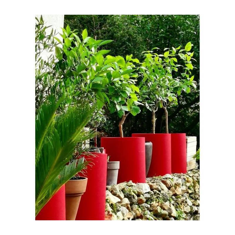Riviera - Riviera Bac Granit Rond - 30 Cm - Rouge - Image 2