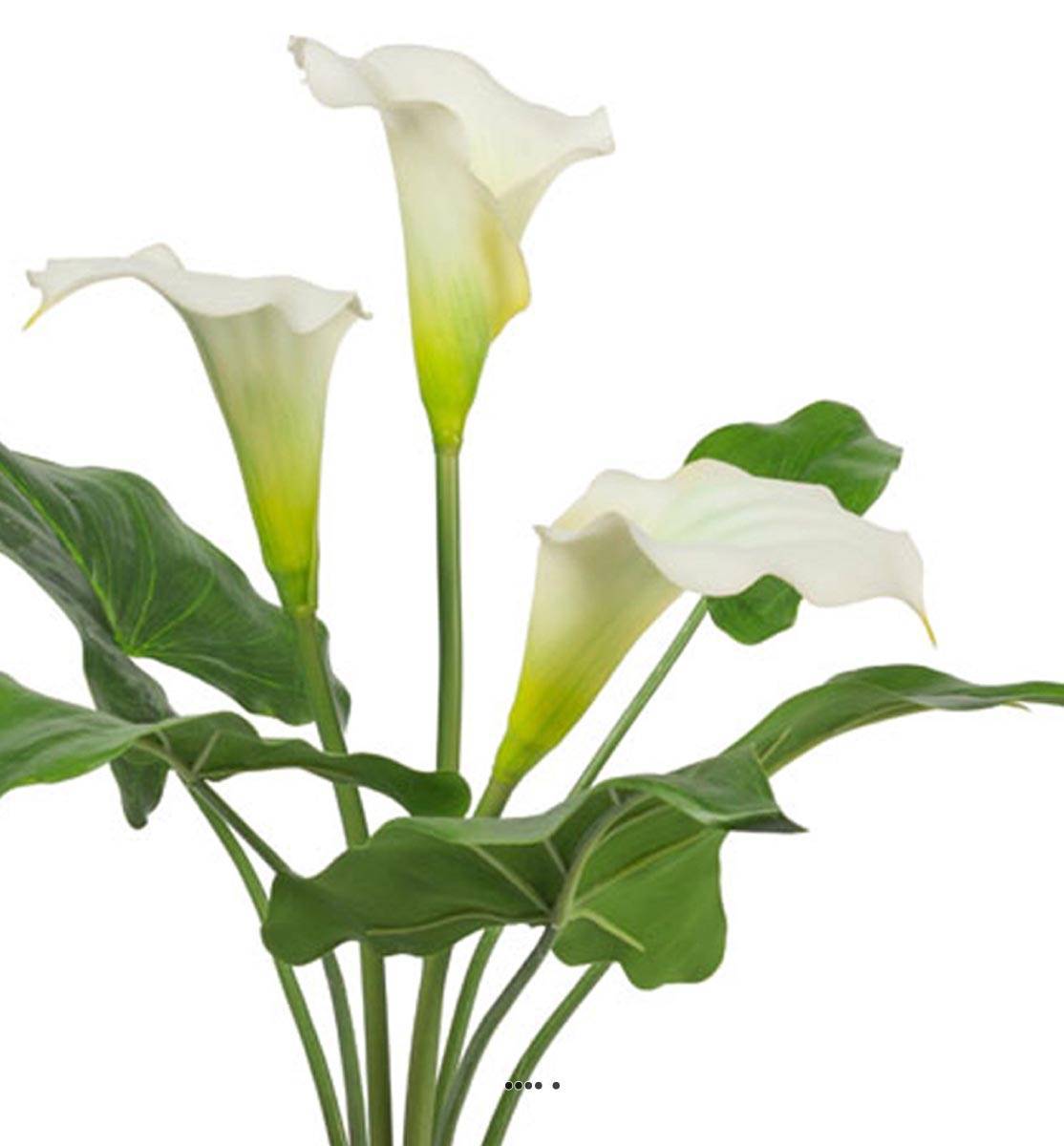 Artificielles - Arum calla artificiel en pot, 3 têtes de fleurs, H 40 cm Crème - couleur: Crème - Imagen 3