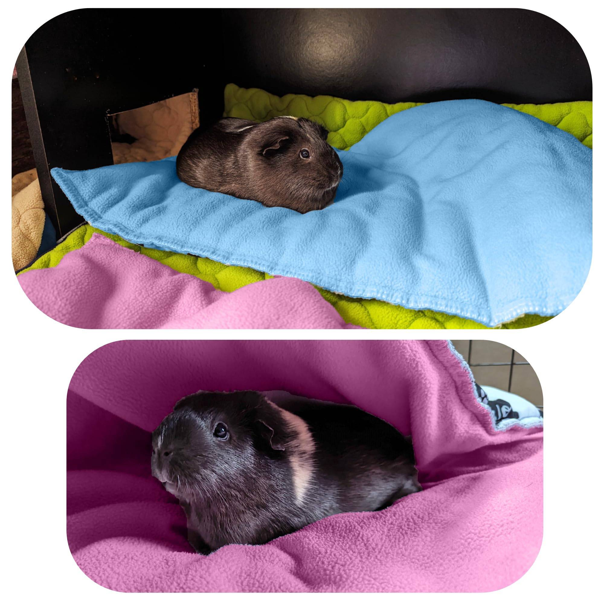 Lot de 2 - Tapis pour Cochon d'inde et Lapin en Polaire 70 x 35 cm  - Polaire Absorbant, Lavable en Machine, Economique - Neo Solvo - Image 5