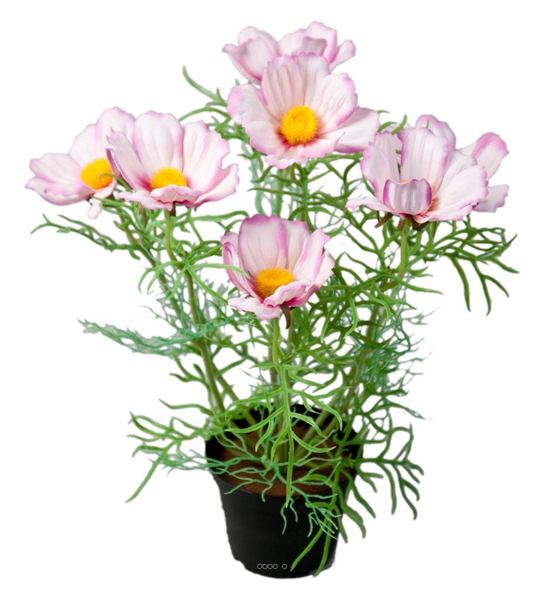 Artificielles - Cosmos fleuries artificielle en pot H 40 cm Pourpre-blanc - couleur: Pourpre-blanc - Imagen 1