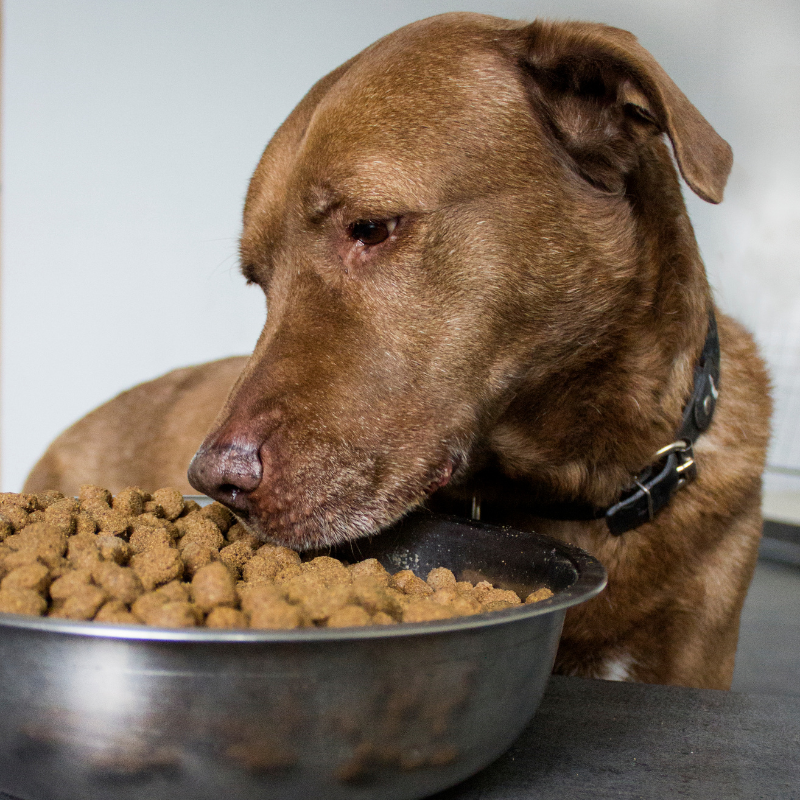 Carnilove - Carnilove - Friandises True Fresh Sans Céréales au Canard pour Chien - Imagen 3