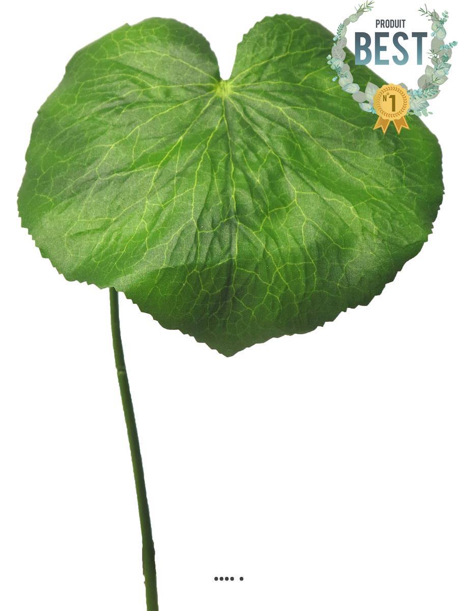 Artificielles - Feuilles de Galax artificielles, en lot de 12, D 20 cm - BEST - Imagen 1