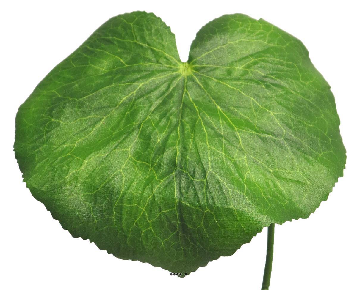 Artificielles - Feuilles de Galax artificielles, en lot de 12, D 20 cm - BEST - Imagen 4