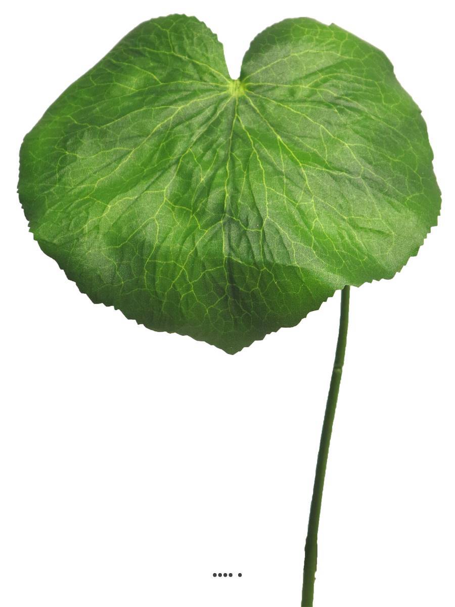 Artificielles - Feuilles de Galax artificielles, en lot de 12, D 20 cm - BEST - Imagen 3