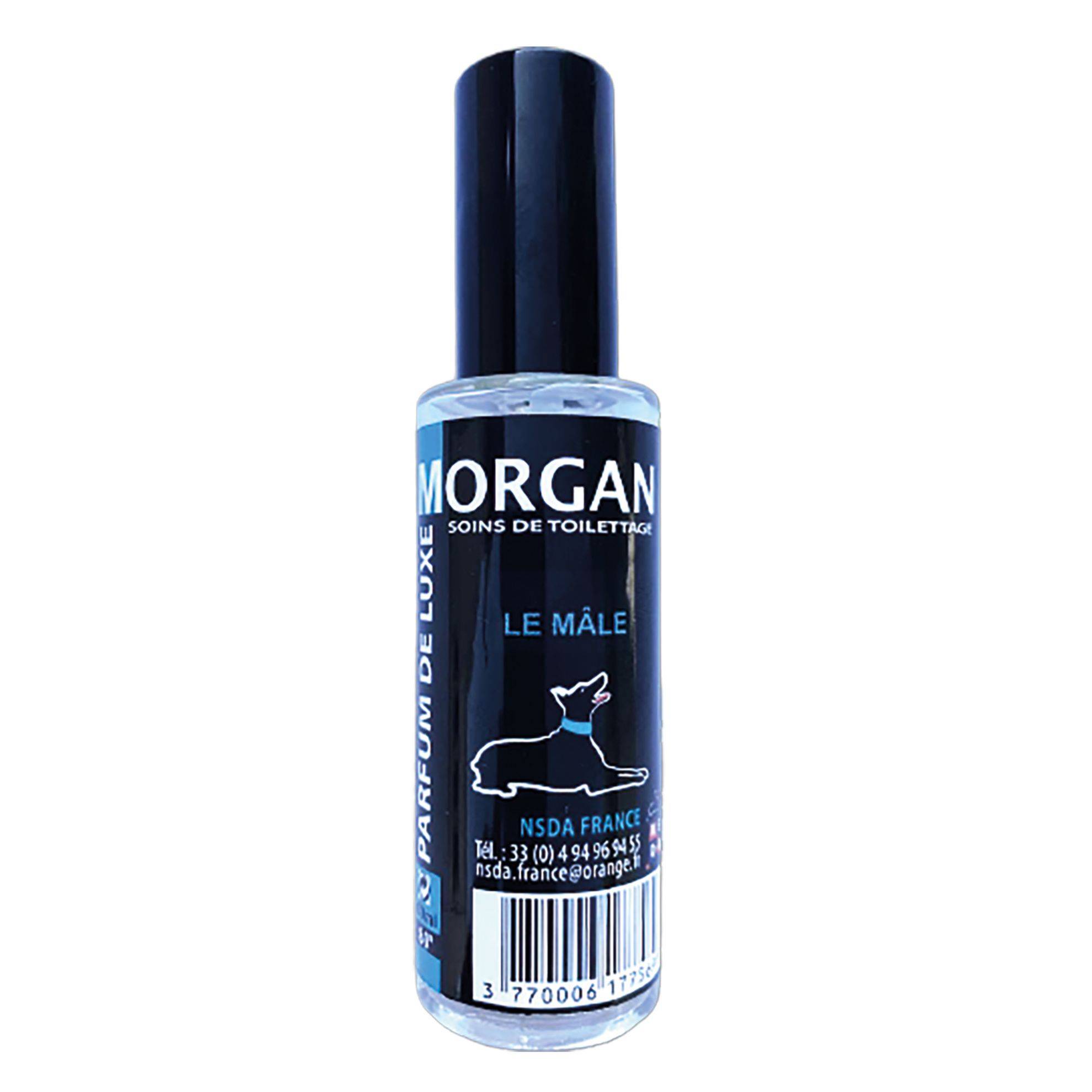 Parfum Morgan Le Mâle : 60ml MORGAN