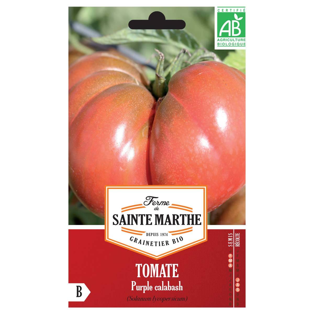 Tomate Purple Calabash Bio - Ferme de Sainte Marthe le sachet de 40 graines environ