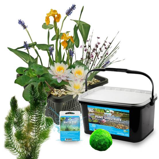 0 - Mini Bassin Set Complet Blanc 25-90L - 11 Plantes et Bactéries - Image 3
