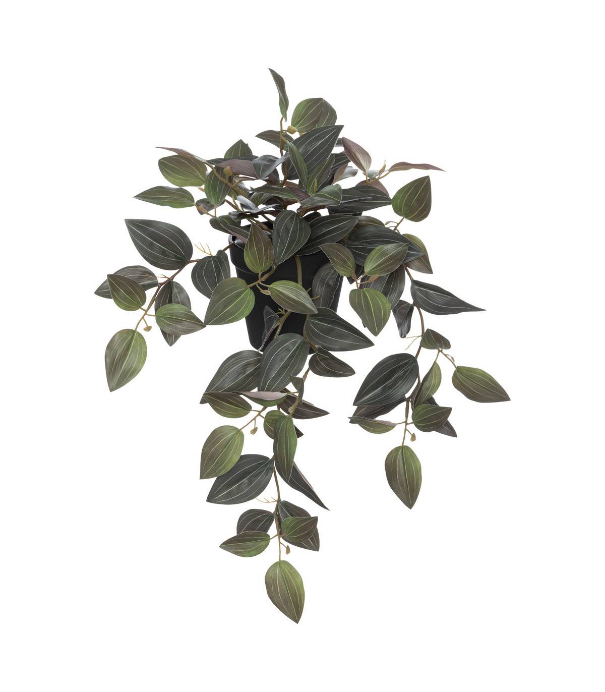 Plante artificielle Tradescantia bicolore H 45 cm - Image 1