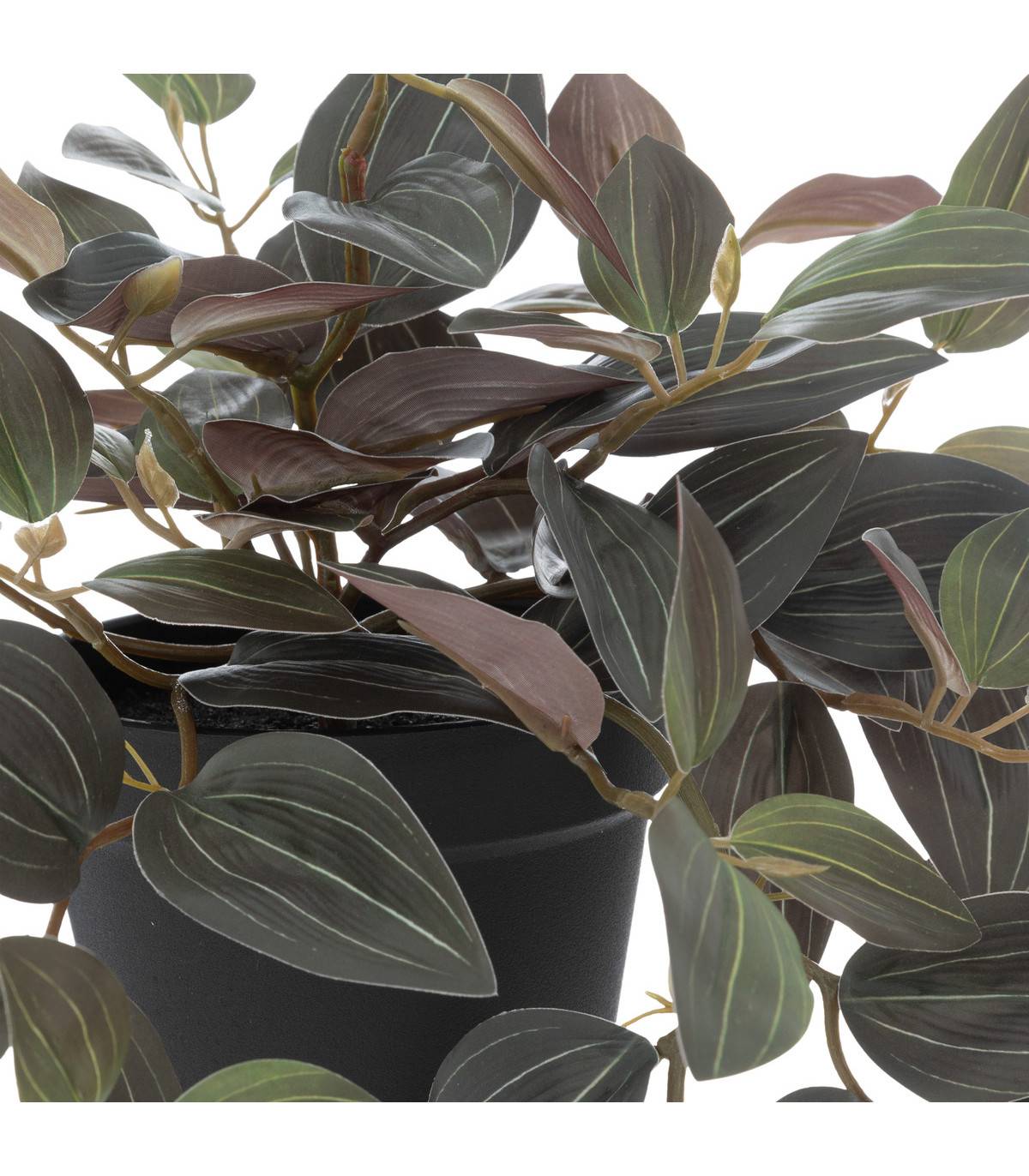 Plante artificielle Tradescantia bicolore H 45 cm - Image 2