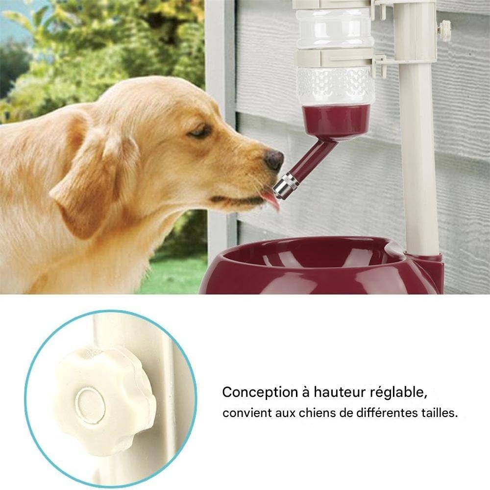 Distributeur d'eau et de nourriture pour chien et chat DtopbuyAge - Image 5