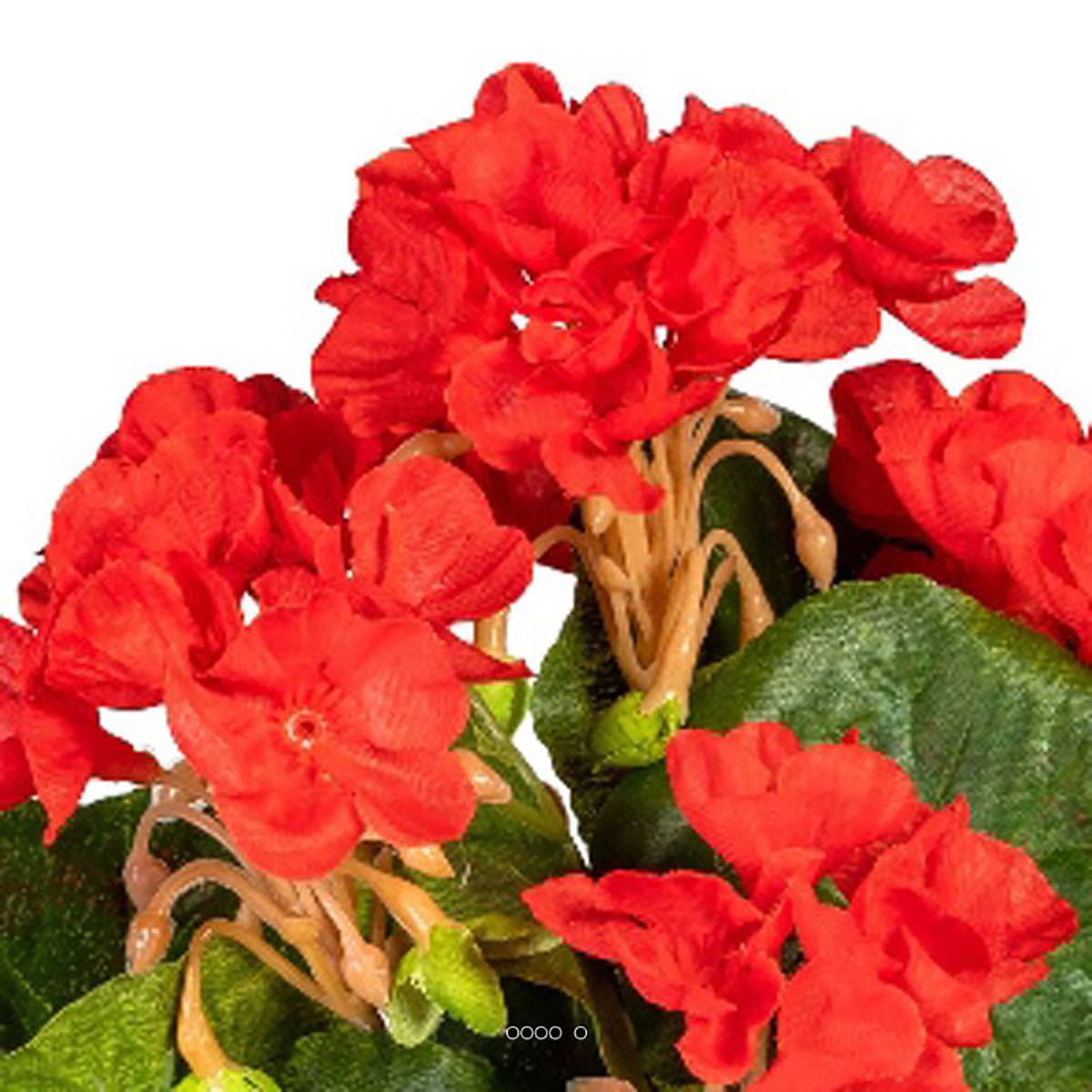 Artificielles - Piquet de géranium artificiel Anti-Uv H 24 cm Rouge - couleur: Rouge - Imagen 3
