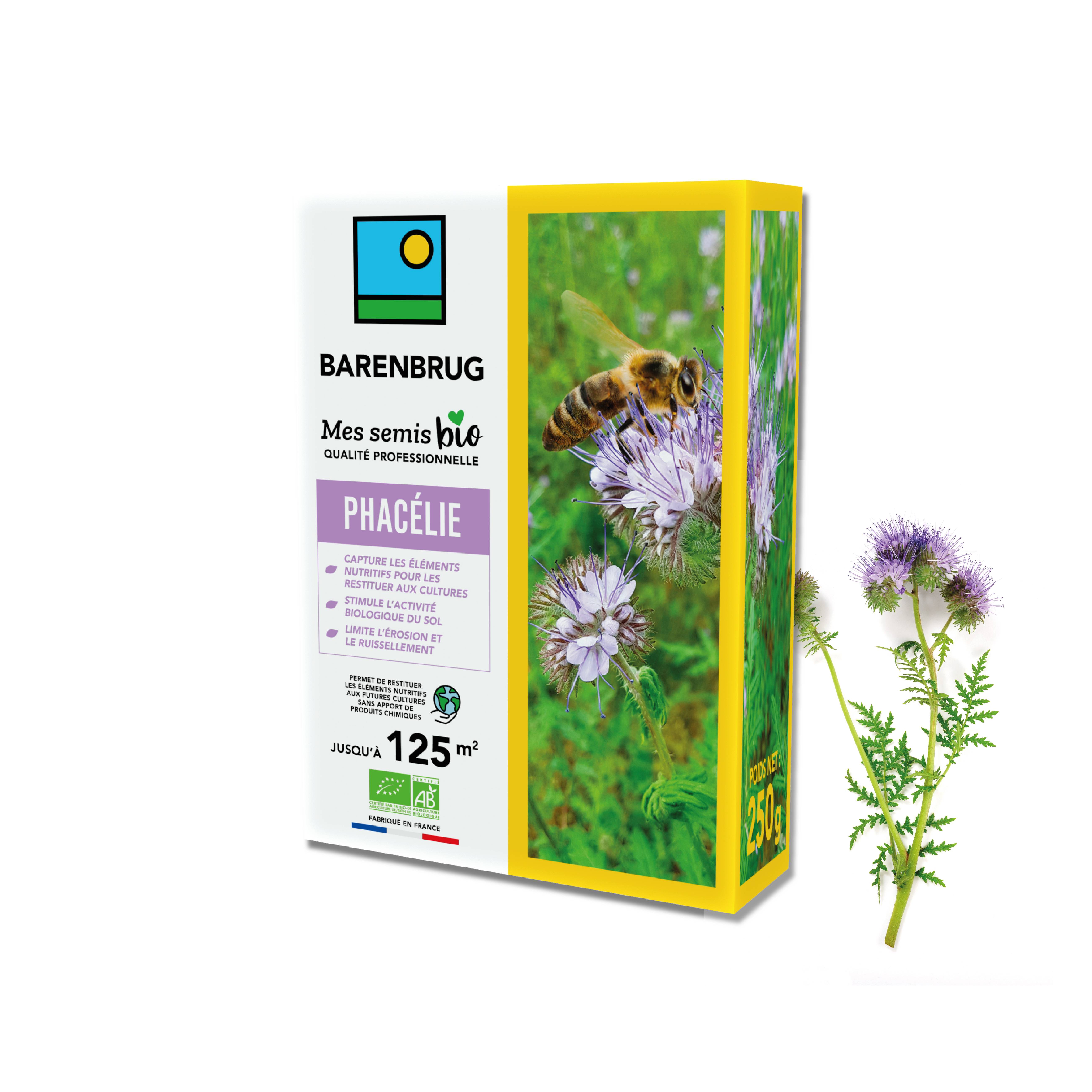 Phacélie - Capture les Éléments Nutritifs et Restitue aux Futures Cultures - Stimule Activité du Sol - 250G - BARENBRUG - Image 1