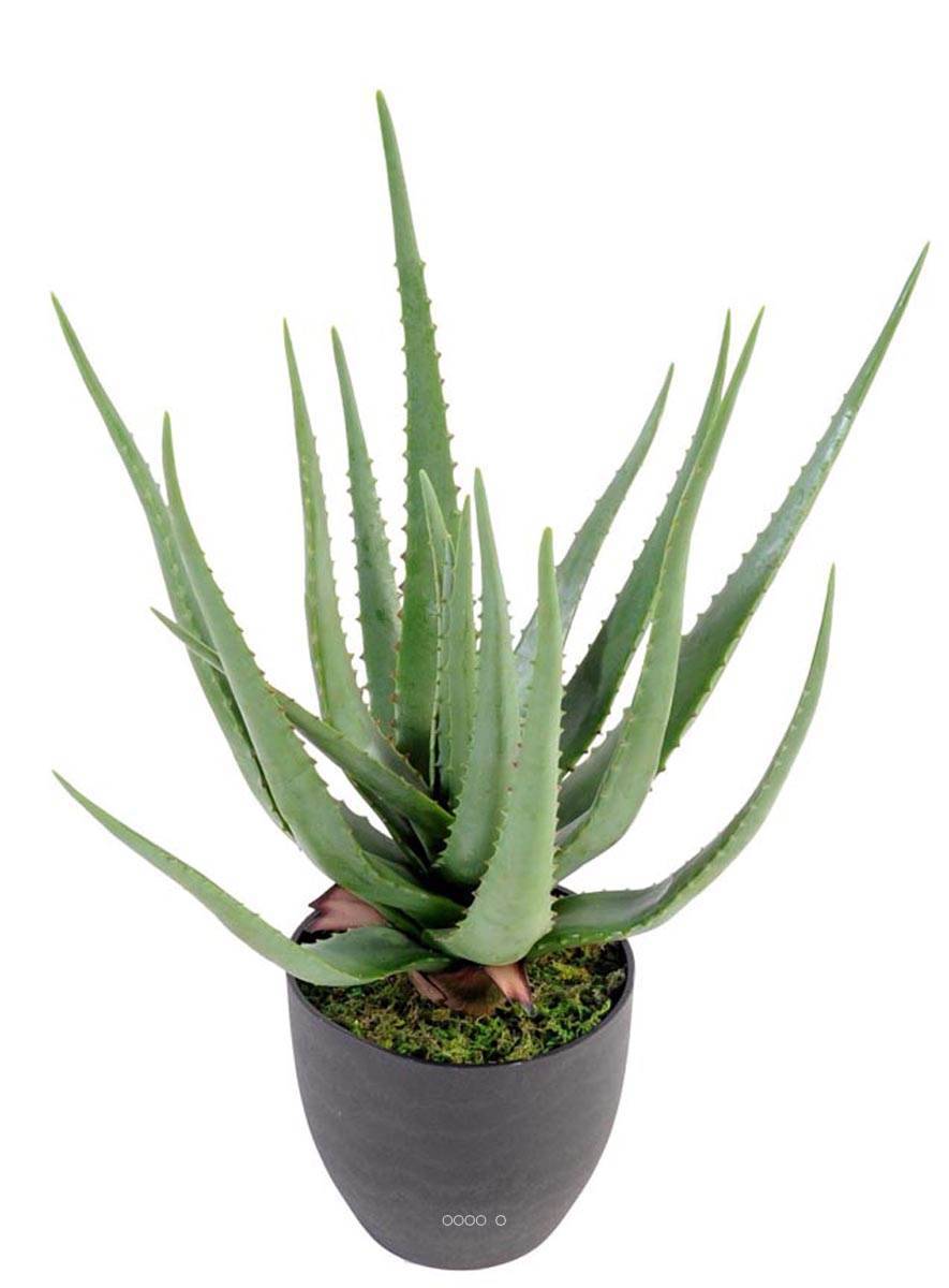 Artificielles - Aloé Vera artificiel H 60 cm cactus plante grasse en pot pvc