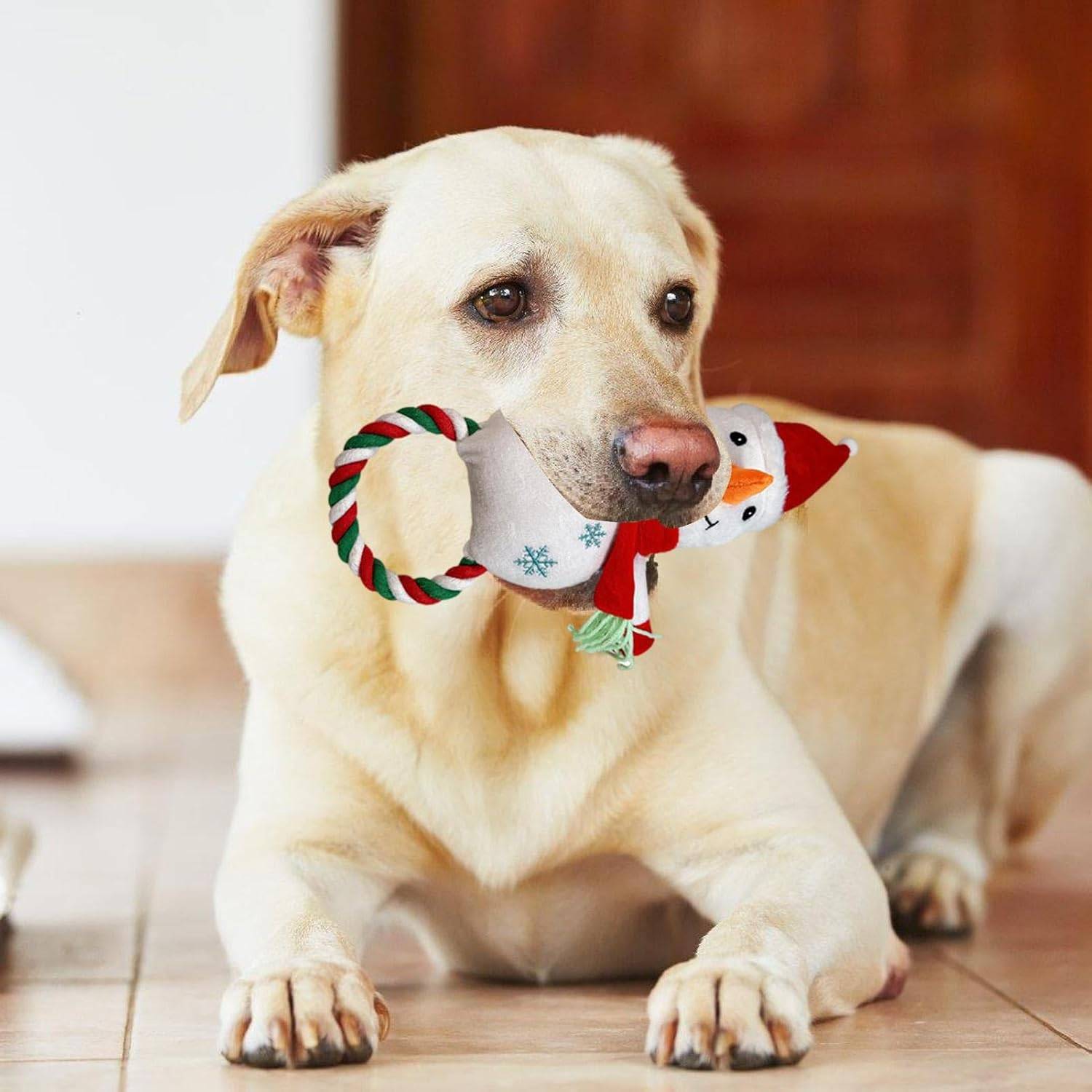 DtopbuyAge - Jouet robuste pour chien mordeur - Noël DtopbuyAge - Image 5