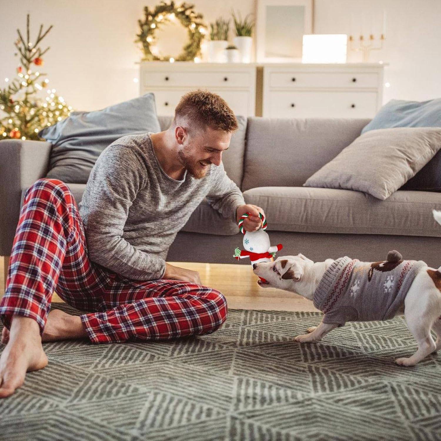 DtopbuyAge - Jouet robuste pour chien mordeur - Noël DtopbuyAge - Image 3