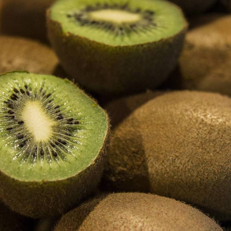 Kiwi Hayward (Femelle) à fleurs Blanche - feuillage Caduc - Godet - 5/20 cm-  hauteur à maturité De 3,00 m à 5,00 m - Imagen 9