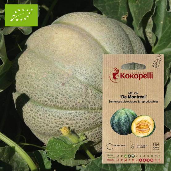 Graines bio à semer - Melon De Montréal- Association Kokopelli