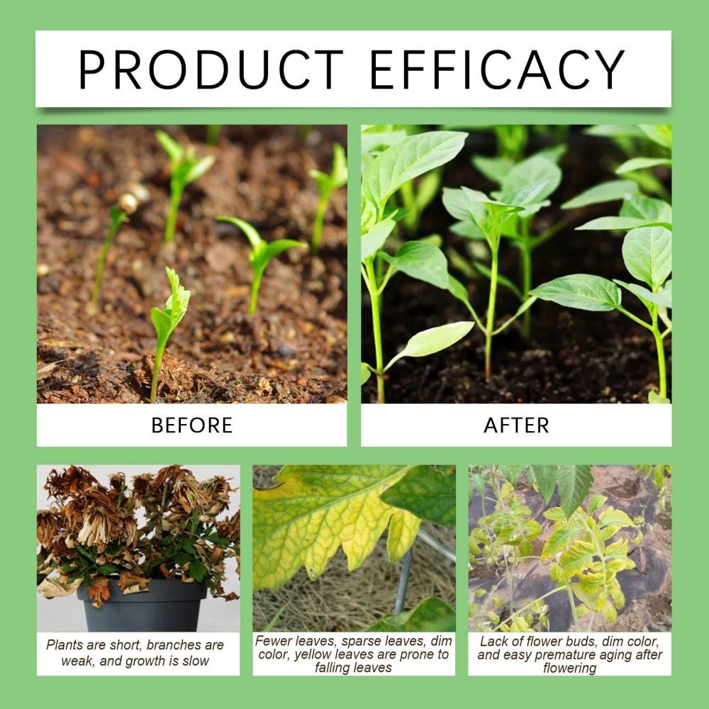 Fluide de croissance des plantes 50ml MCBOSON - Image 3